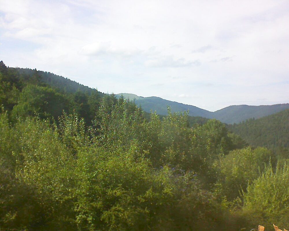 Le petit ballon vu depuis le Domaine Langmatt à Murbach le 25.07.2024 à 17:30 Le petit ballon (Alsace, Vosges) le 25.07.2024 à 17:30