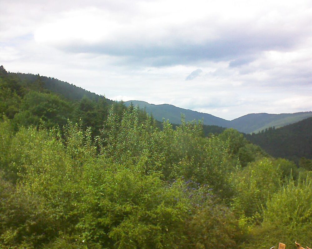 Le petit ballon vu depuis le Domaine Langmatt à Murbach le 26.07.2024 à 15:30 Le petit ballon (Alsace, Vosges) le 26.07.2024 à 15:30