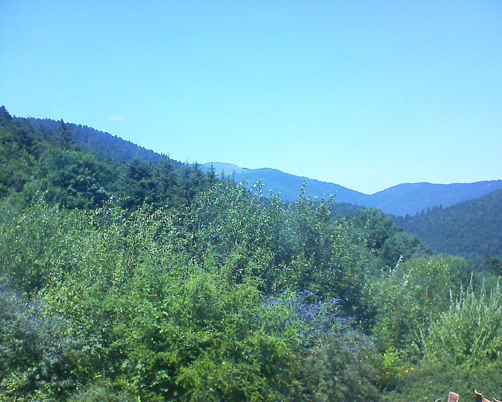 Le petit ballon vu depuis le Domaine Langmatt à Murbach le 29.07.2024 à 14:30 Le petit ballon (Alsace, Vosges) le 29.07.2024 à 14:30