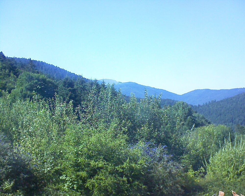 Le petit ballon vu depuis le Domaine Langmatt à Murbach le 29.07.2024 à 16:30 Le petit ballon (Alsace, Vosges) le 29.07.2024 à 16:30