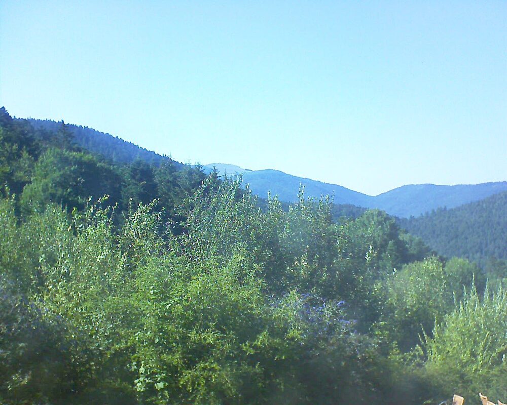 Le petit ballon vu depuis le Domaine Langmatt à Murbach le 29.07.2024 à 17:30 Le petit ballon (Alsace, Vosges) le 29.07.2024 à 17:30