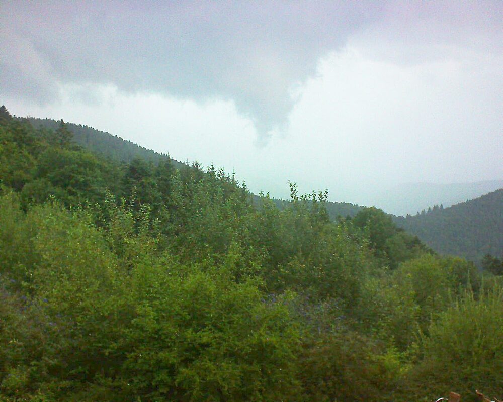 Le petit ballon vu depuis le Domaine Langmatt à Murbach le 31.07.2024 à 17:30 Le petit ballon (Alsace, Vosges) le 31.07.2024 à 17:30