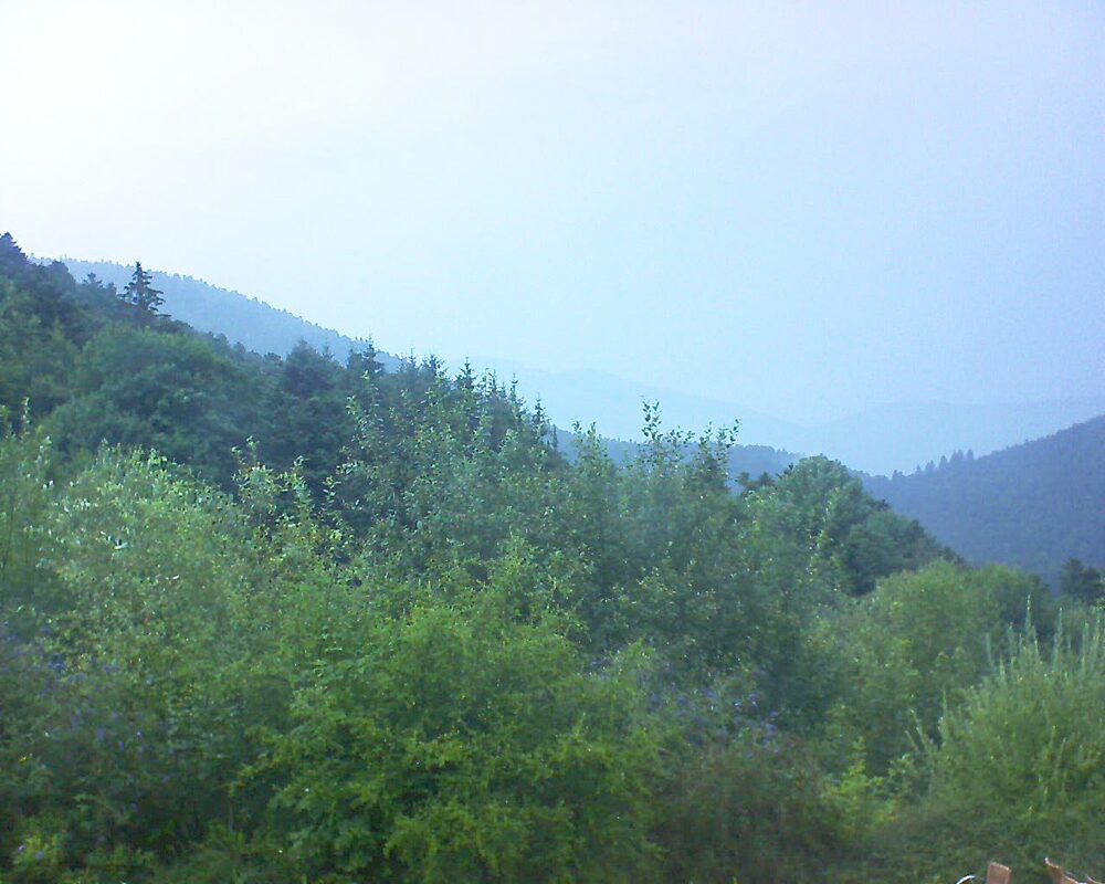 Le petit ballon vu depuis le Domaine Langmatt à Murbach le 31.07.2024 à 19:30 Le petit ballon (Alsace, Vosges) le 31.07.2024 à 19:30