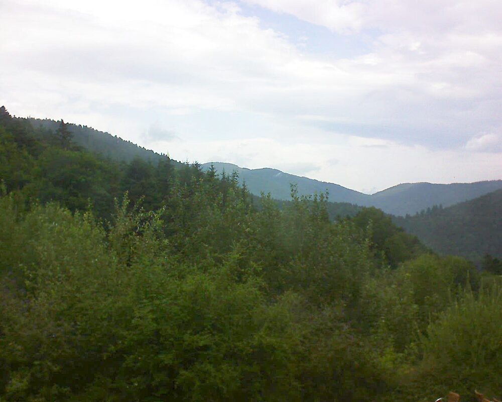 Le petit ballon vu depuis le Domaine Langmatt à Murbach le 01.08.2024 à 12:30 Le petit ballon (Alsace, Vosges) le 01.08.2024 à 12:30