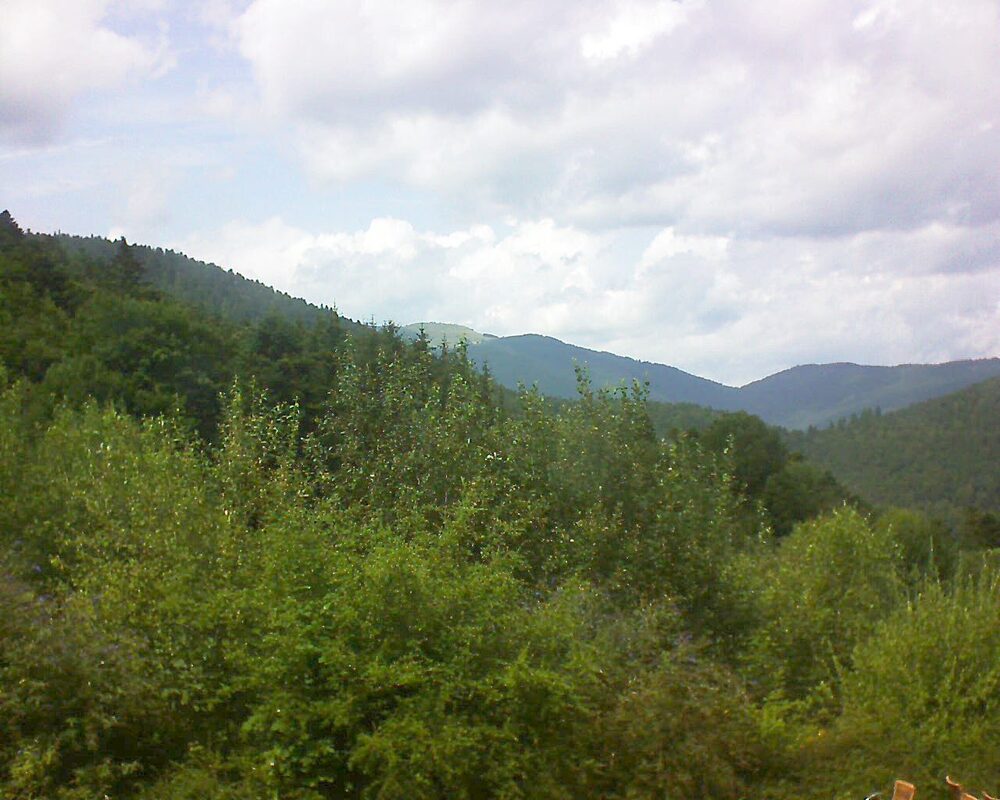 Le petit ballon (Alsace, Vosges) le 01.08.2024 à 15:00