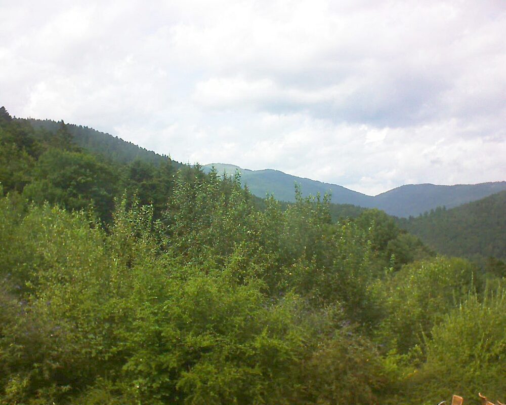Le petit ballon vu depuis le Domaine Langmatt à Murbach le 01.08.2024 à 15:15 Le petit ballon (Alsace, Vosges) le 01.08.2024 à 15:15