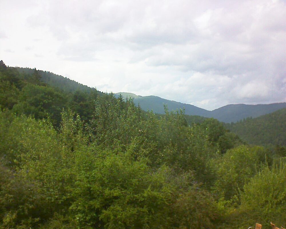 Le petit ballon vu depuis le Domaine Langmatt à Murbach le 01.08.2024 à 15:30 Le petit ballon (Alsace, Vosges) le 01.08.2024 à 15:30