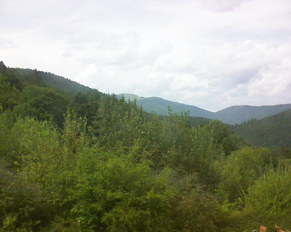 Le petit ballon vu depuis le Domaine Langmatt à Murbach le 01.08.2024 à 15:45 Le petit ballon (Alsace, Vosges) le 01.08.2024 à 15:45