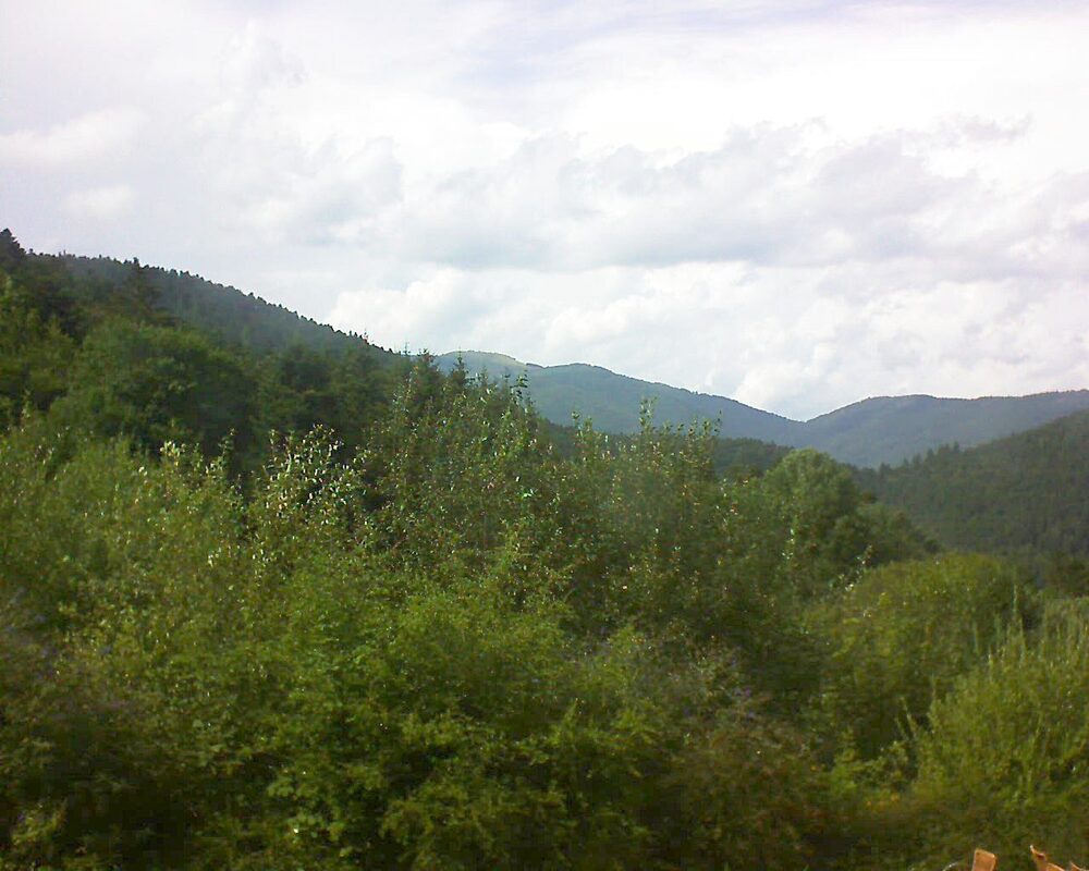 Le petit ballon vu depuis le Domaine Langmatt à Murbach le 01.08.2024 à 16:30 Le petit ballon (Alsace, Vosges) le 01.08.2024 à 16:30