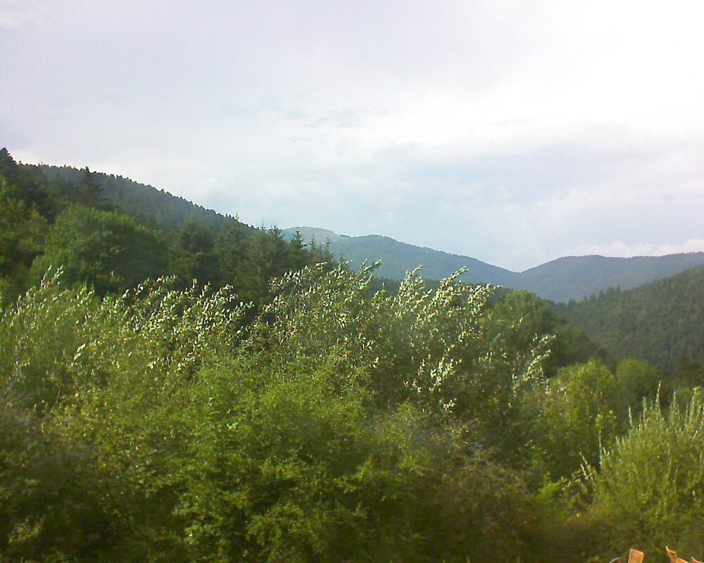Le petit ballon vu depuis le Domaine Langmatt à Murbach le 01.08.2024 à 17:15 Le petit ballon (Alsace, Vosges) le 01.08.2024 à 17:15