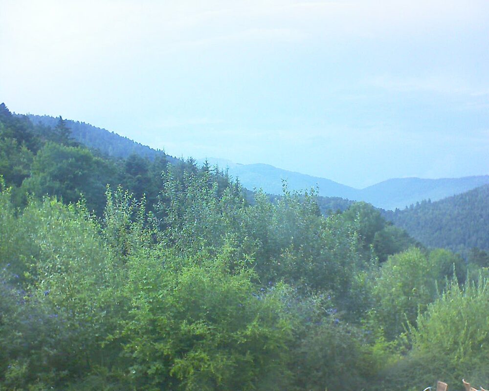 Le petit ballon vu depuis le Domaine Langmatt à Murbach le 01.08.2024 à 18:00 Le petit ballon (Alsace, Vosges) le 01.08.2024 à 18:00