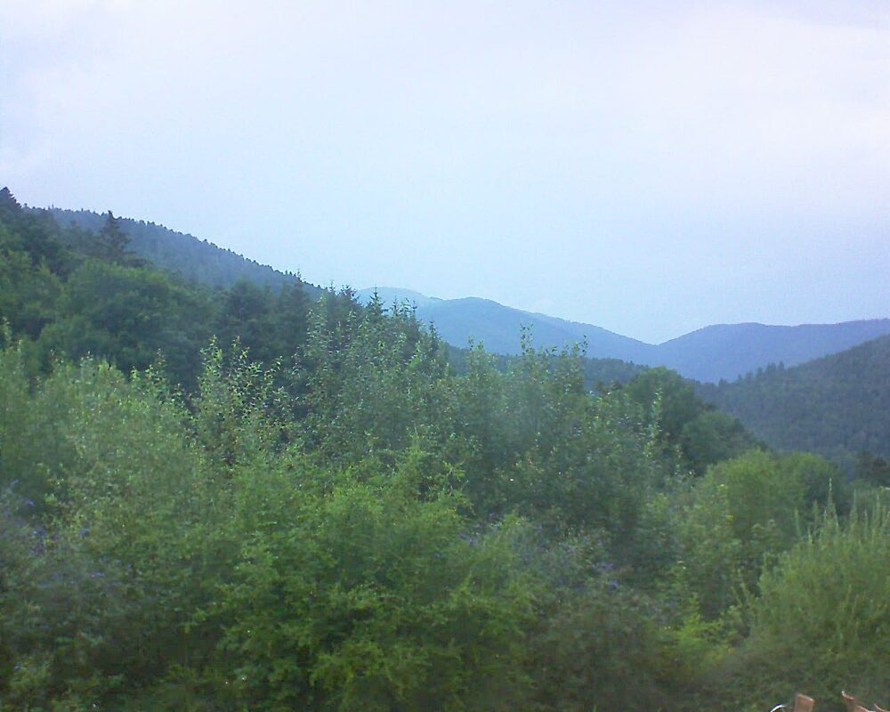 Le petit ballon vu depuis le Domaine Langmatt à Murbach le 01.08.2024 à 19:15 Le petit ballon (Alsace, Vosges) le 01.08.2024 à 19:15
