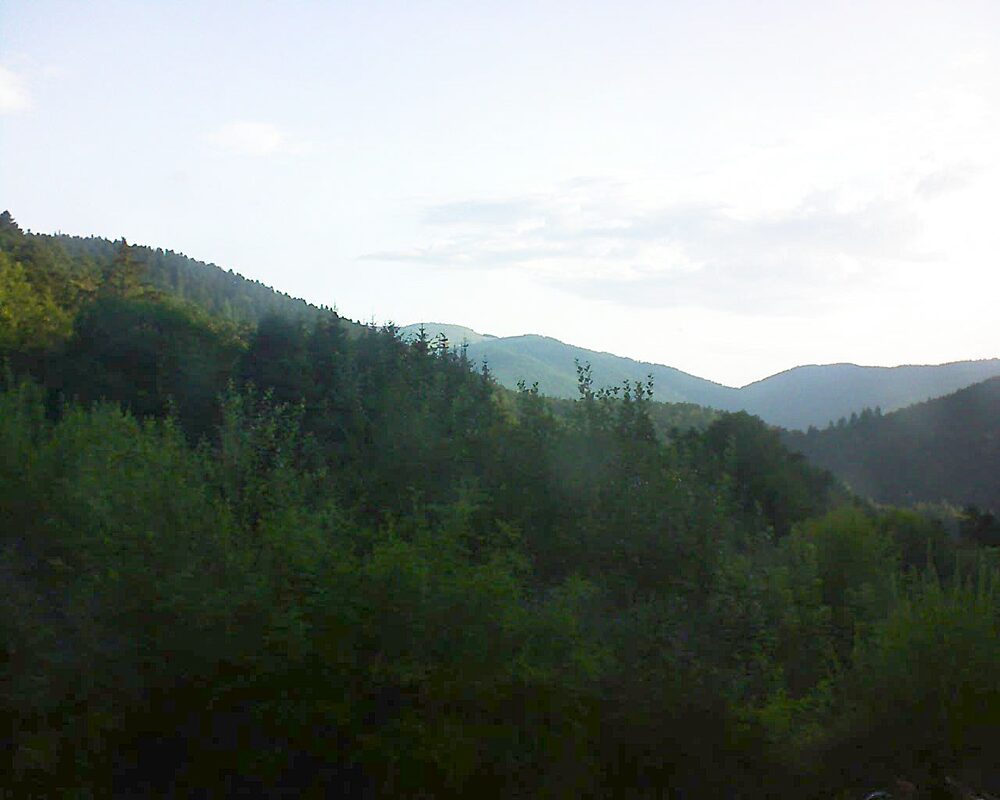 Le petit ballon (Alsace, Vosges) le 02.08.2024 à 07:30