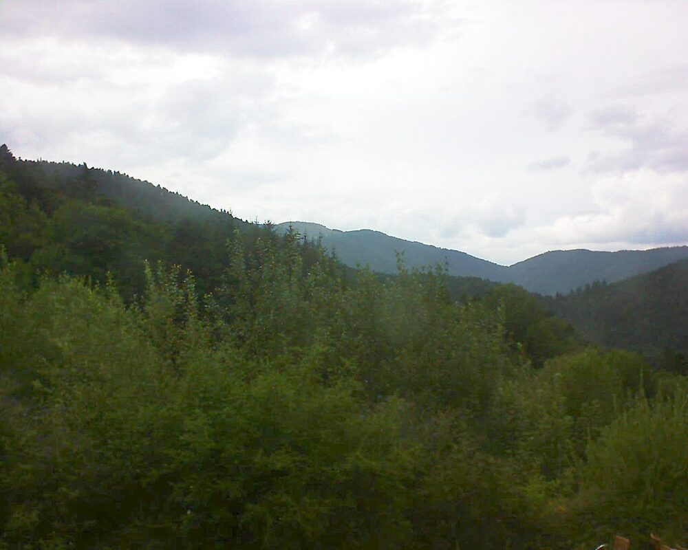 Le petit ballon vu depuis le Domaine Langmatt à Murbach le 04.08.2024 à 17:30 Le petit ballon (Alsace, Vosges) le 04.08.2024 à 17:30