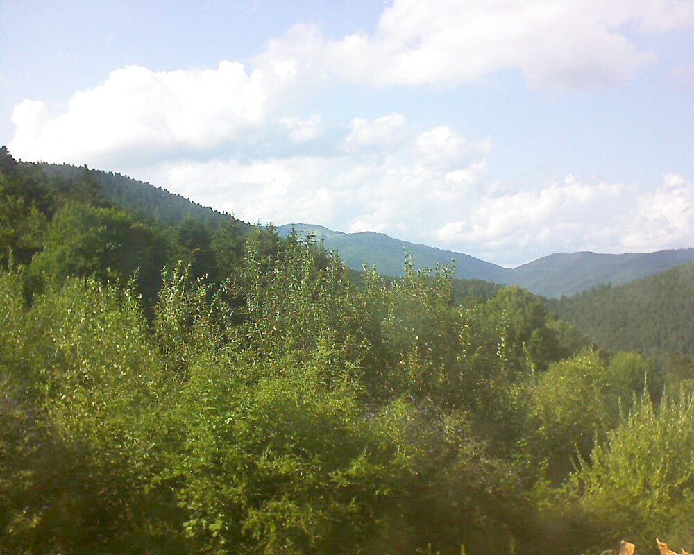Le petit ballon (Alsace, Vosges) le 07.08.2024 à 17:30
