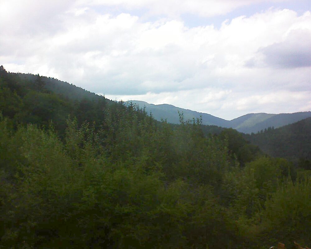 Le petit ballon (Alsace, Vosges) le 08.08.2024 à 17:30