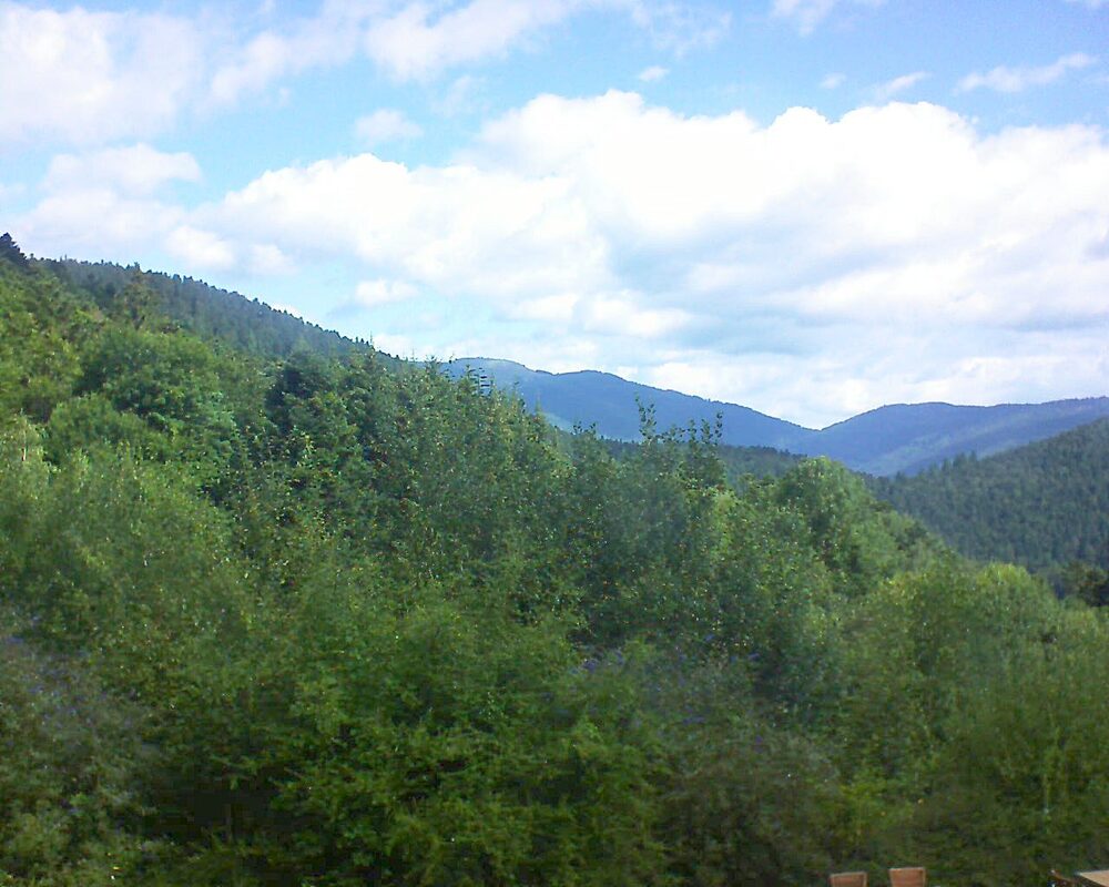 Le petit ballon (Alsace, Vosges) le 10.08.2024 à 10:45