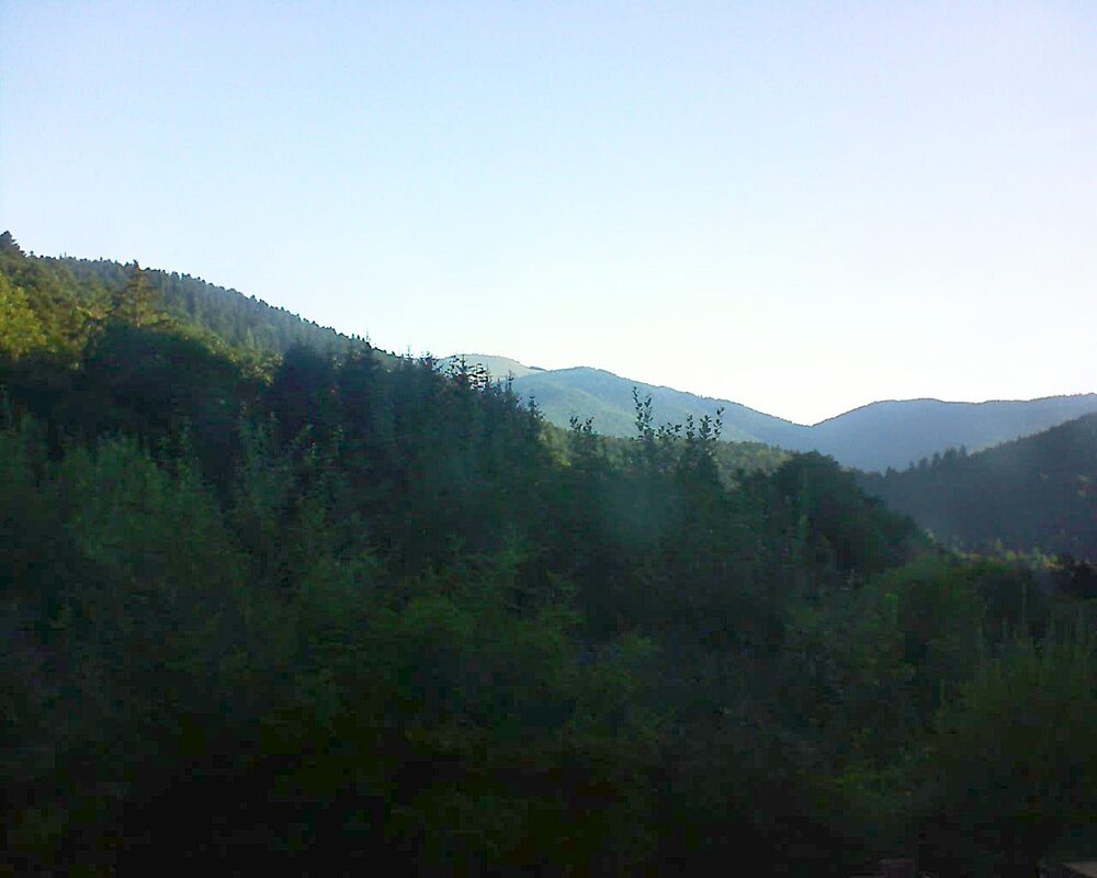 Le petit ballon (Alsace, Vosges) le 11.08.2024 à 07:45