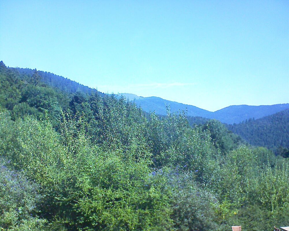 Le petit ballon vu depuis le Domaine Langmatt à Murbach le 11.08.2024 à 11:00 Le petit ballon (Alsace, Vosges) le 11.08.2024 à 11:00