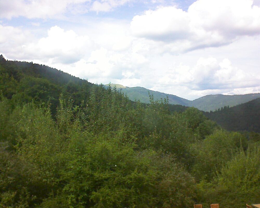 Le petit ballon (Alsace, Vosges) le 17.08.2024 à 15:15
