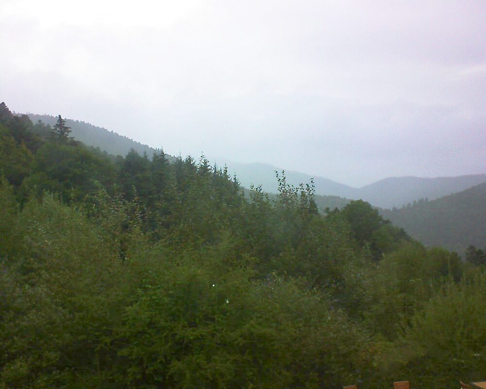 Le petit ballon (Alsace, Vosges) le 11.09.2024 à 10:45