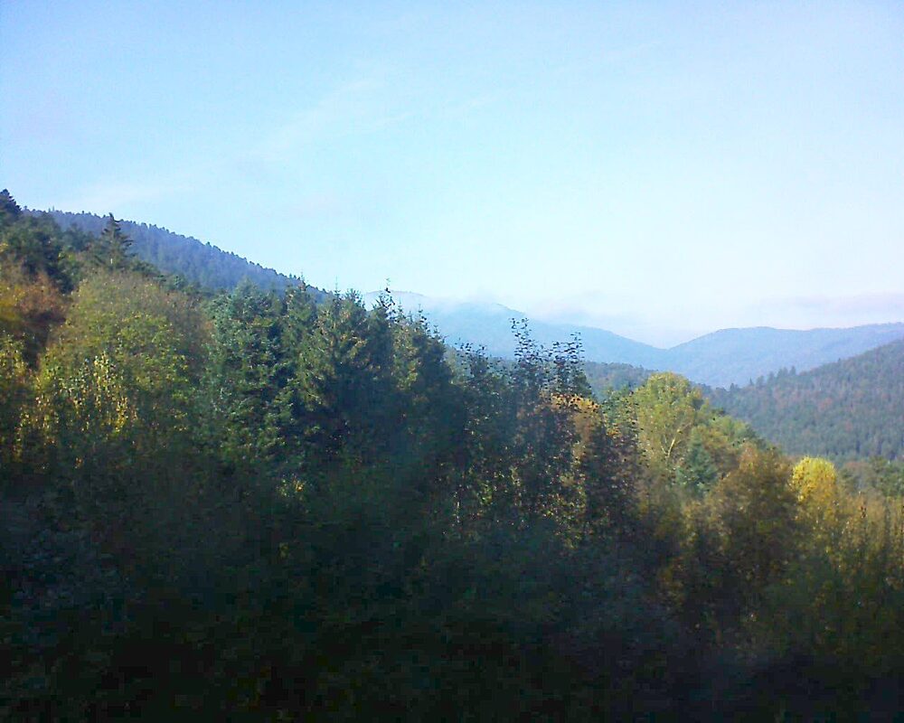 Le petit ballon (Alsace, Vosges) le 03.11.2024 à 14:00