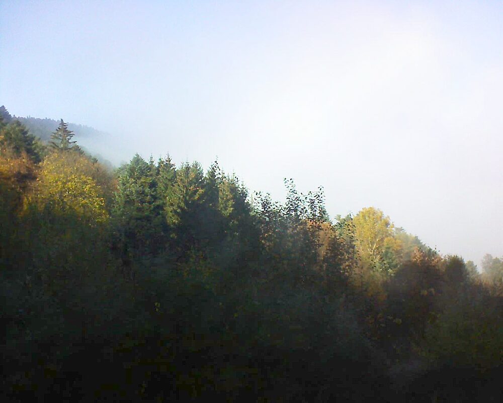 Le petit ballon (Alsace, Vosges) le 10.11.2024 à 14:00