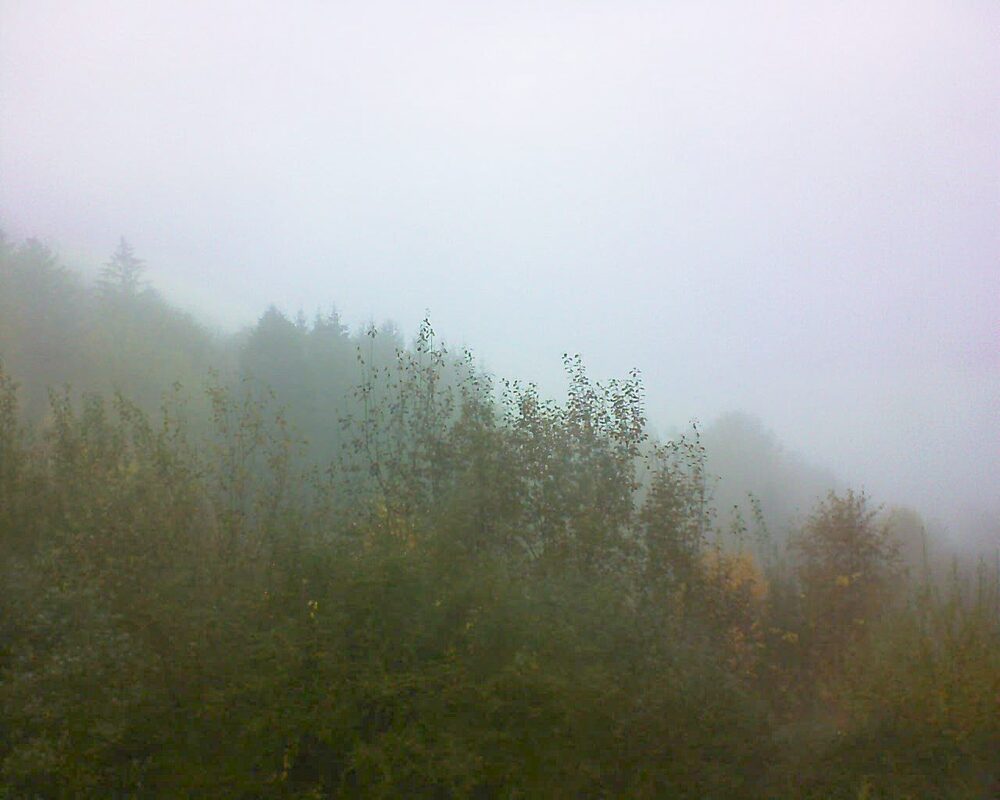 Le petit ballon (Alsace, Vosges) le 11.11.2024 à 14:00