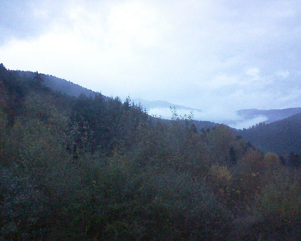 Le petit ballon (Alsace, Vosges) le 11.11.2024 à 17:00