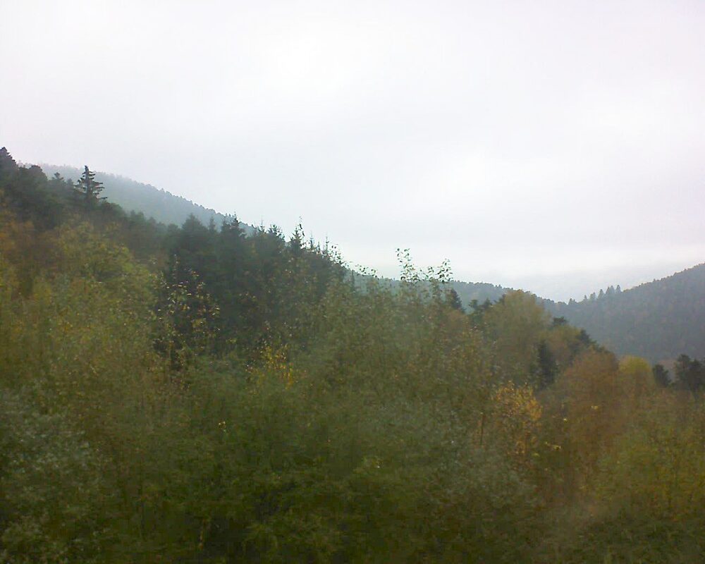 Le petit ballon vu depuis le Domaine Langmatt à Murbach le 13.11.2024 à 14:00 Le petit ballon (Alsace, Vosges) le 13.11.2024 à 14:00