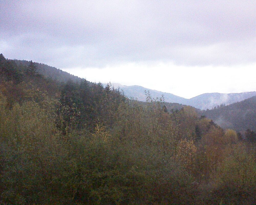 Le petit ballon (Alsace, Vosges) le 17.11.2024 à 07:30