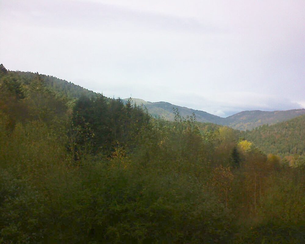 Le petit ballon vu depuis le Domaine Langmatt à Murbach le 17.11.2024 à 14:00 Le petit ballon (Alsace, Vosges) le 17.11.2024 à 14:00