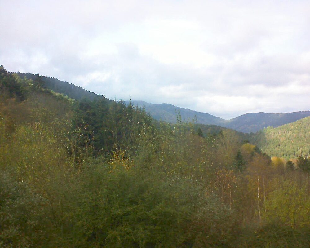 Le petit ballon vu depuis le Domaine Langmatt à Murbach le 18.11.2024 à 14:00 Le petit ballon (Alsace, Vosges) le 18.11.2024 à 14:00