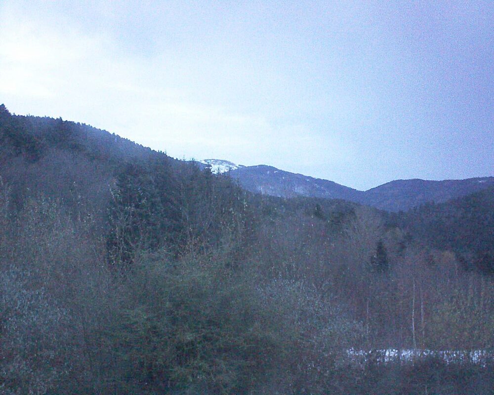 Le petit ballon (Alsace, Vosges) le 24.11.2024 à 07:45