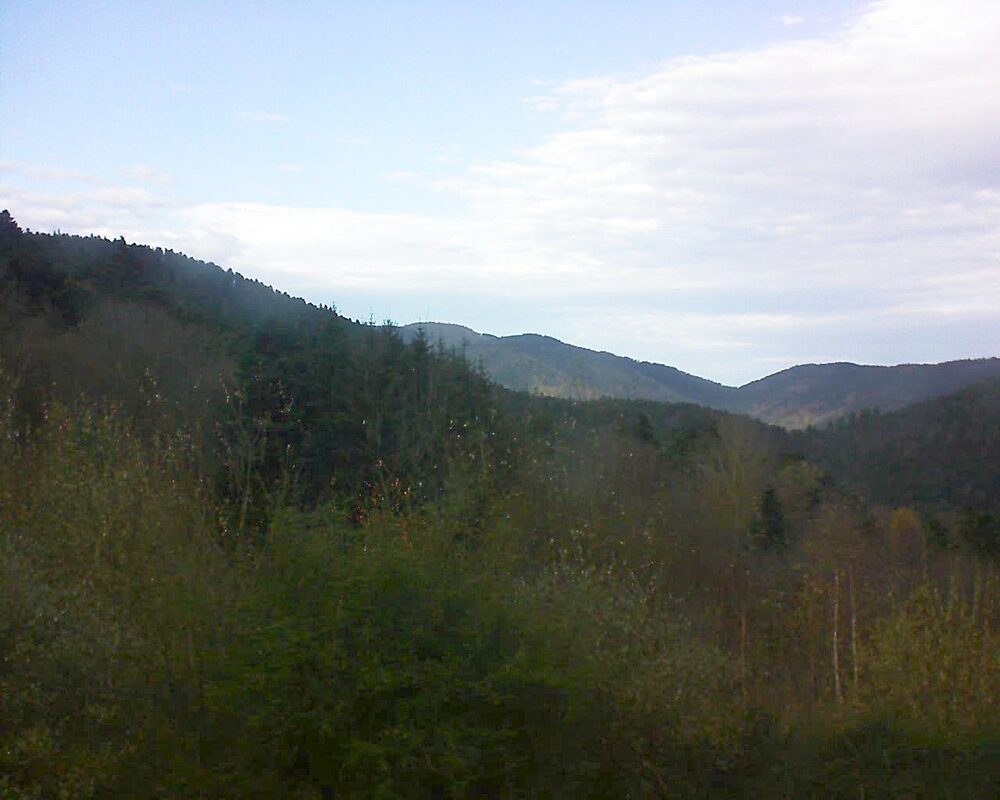 Le petit ballon (Alsace, Vosges) le 25.11.2024 à 14:00