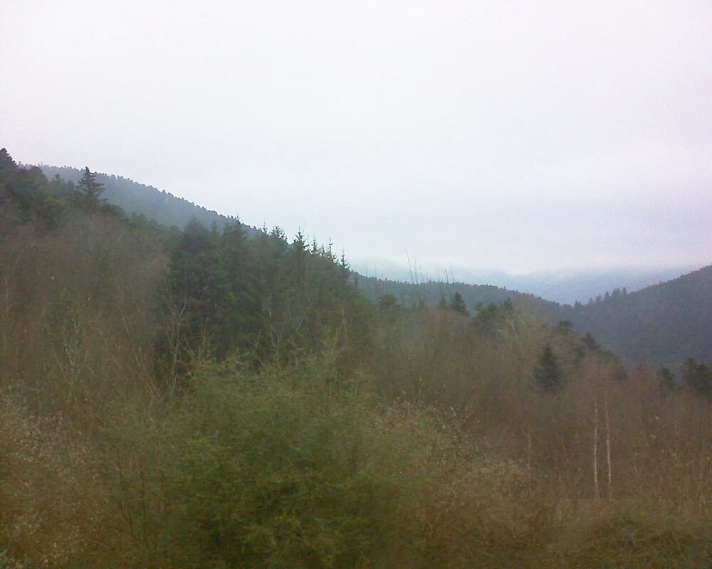 Le petit ballon (Alsace, Vosges) le 11.12.2024 à 14:00