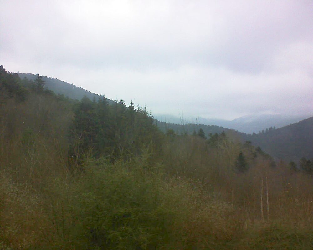 Le petit ballon (Alsace, Vosges) le 12.12.2024 à 14:00