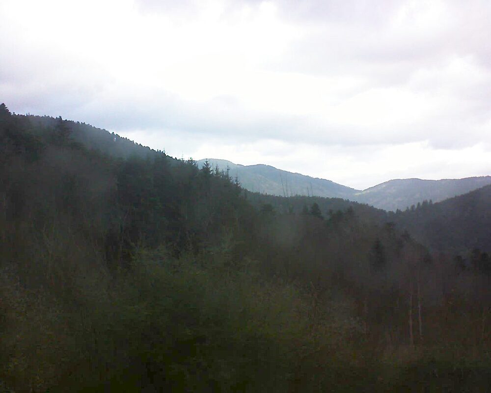 Le petit ballon (Alsace, Vosges) le 19.12.2024 à 14:00