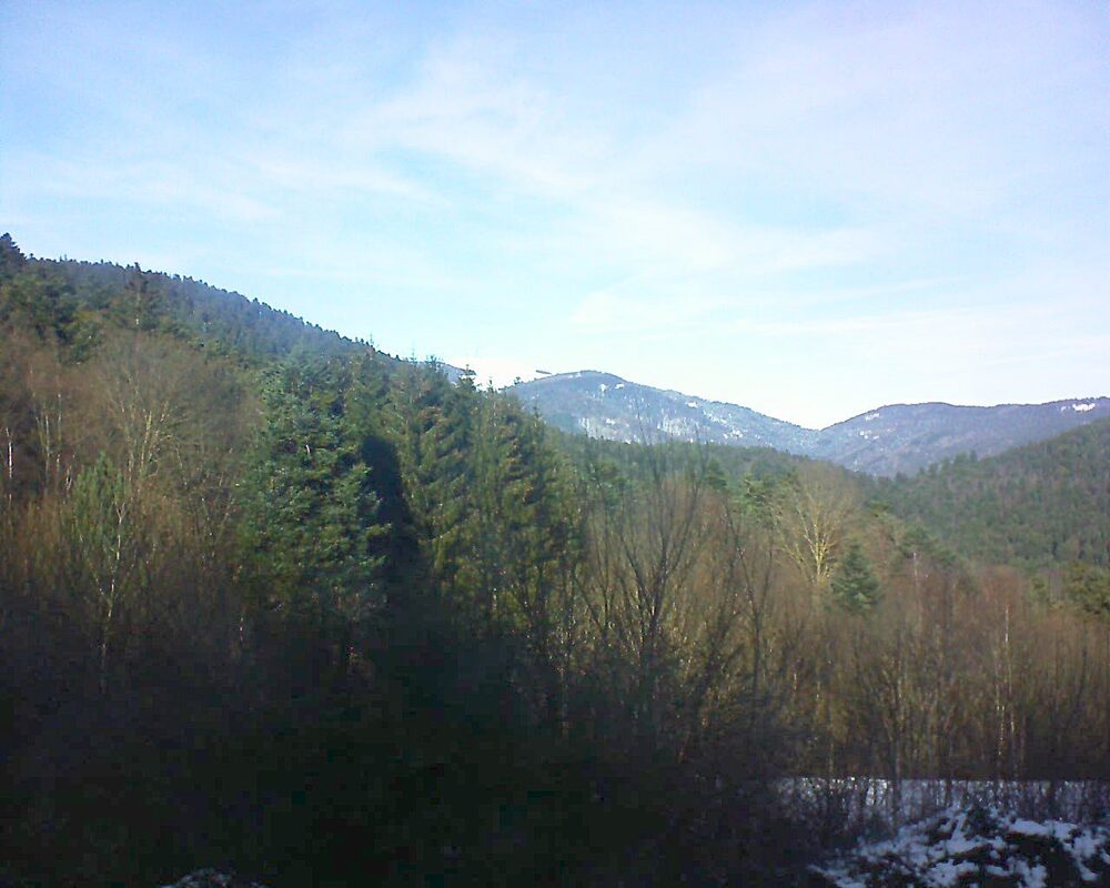 Le petit ballon vu depuis le Domaine Langmatt à Murbach le 25.12.2024 à 13:00 Le petit ballon (Alsace, Vosges) le 25.12.2024 à 13:00