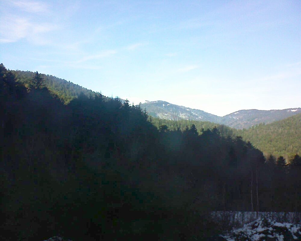 Le petit ballon (Alsace, Vosges) le 25.12.2024 à 13:45