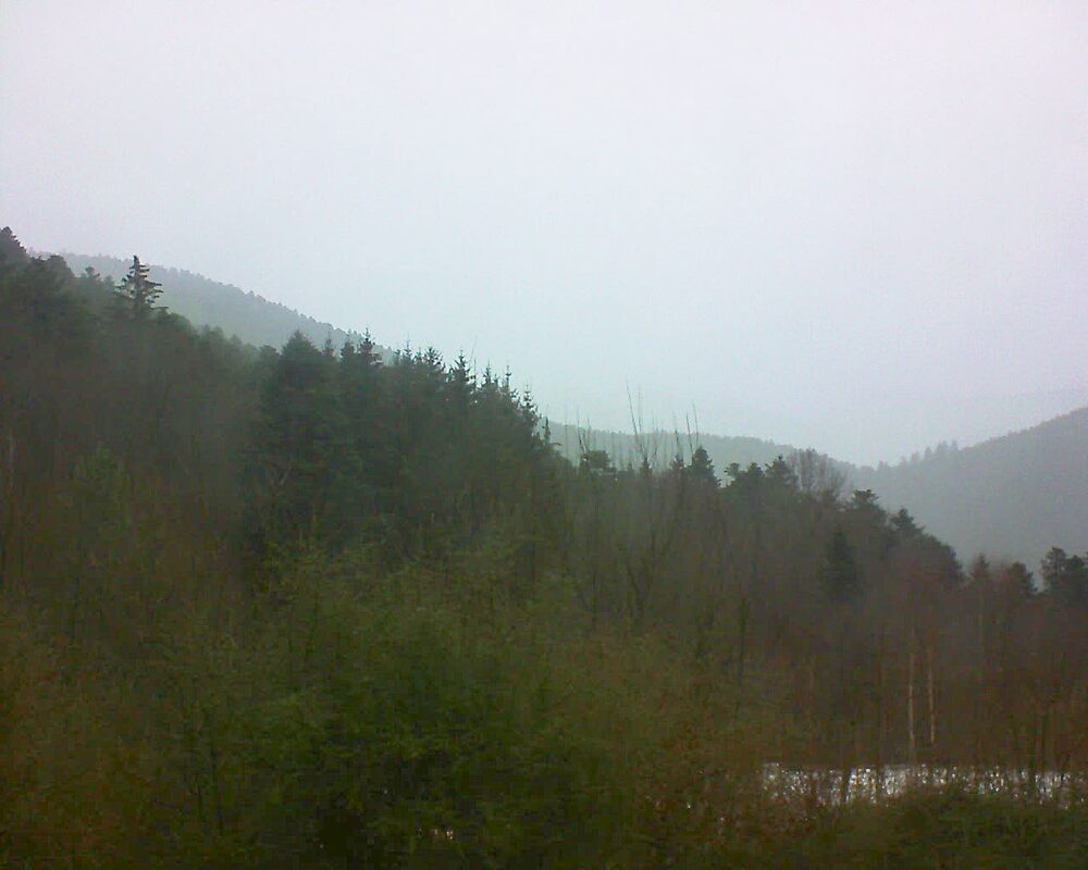 Le petit ballon (Alsace, Vosges) le 02.01.2025 à 14:00