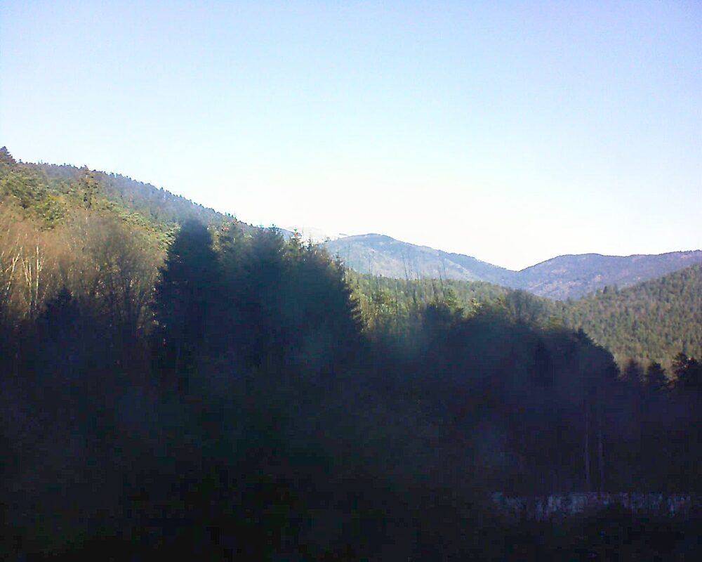 Le petit ballon (Alsace, Vosges) le 13.01.2025 à 11:15