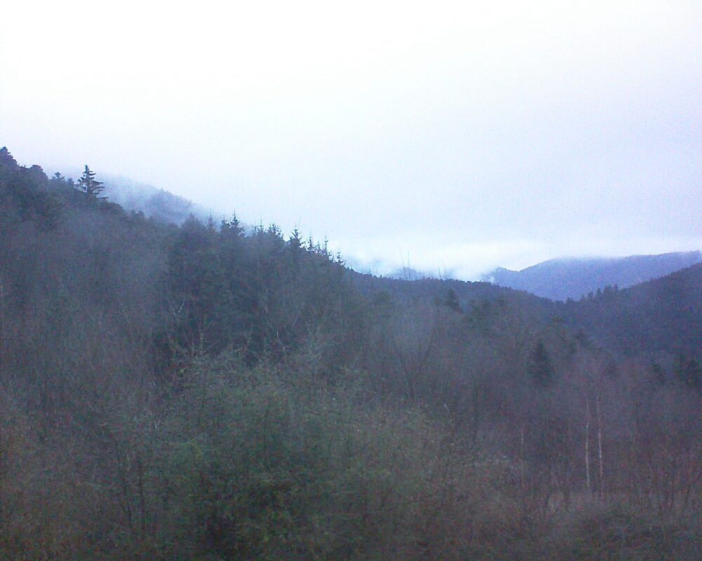Le petit ballon vu depuis le Domaine Langmatt à Murbach le 23.01.2025 à 08:30 Le petit ballon (Alsace, Vosges) le 23.01.2025 à 08:30
