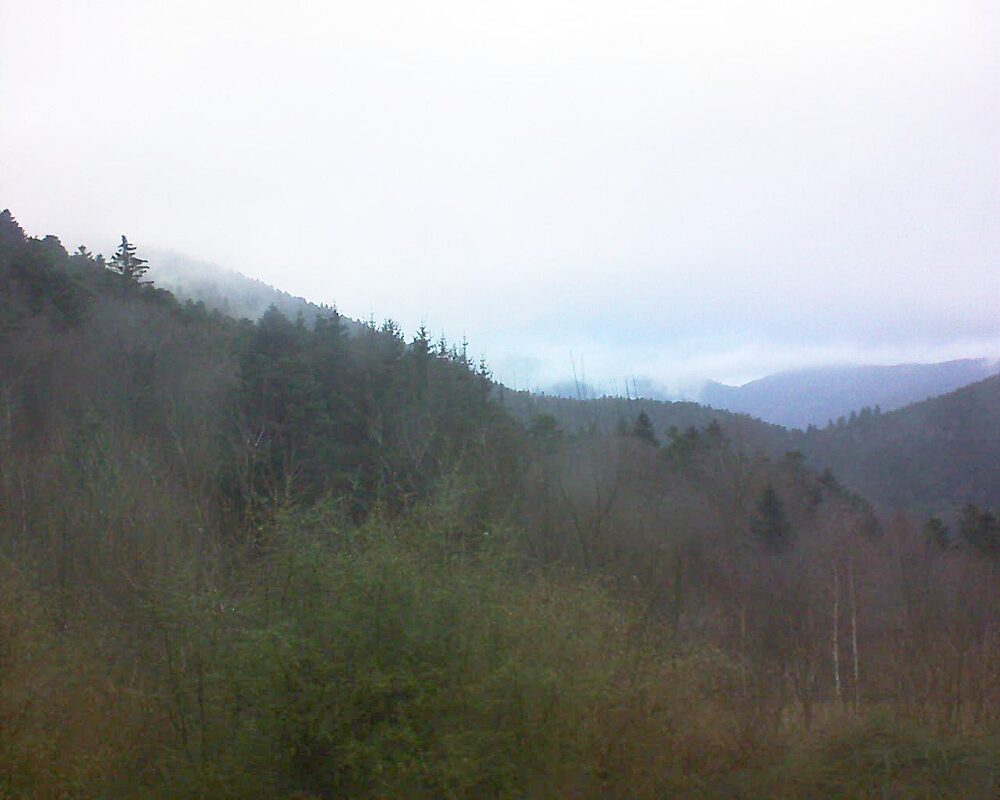 Le petit ballon vu depuis le Domaine Langmatt à Murbach le 23.01.2025 à 08:45 Le petit ballon (Alsace, Vosges) le 23.01.2025 à 08:45