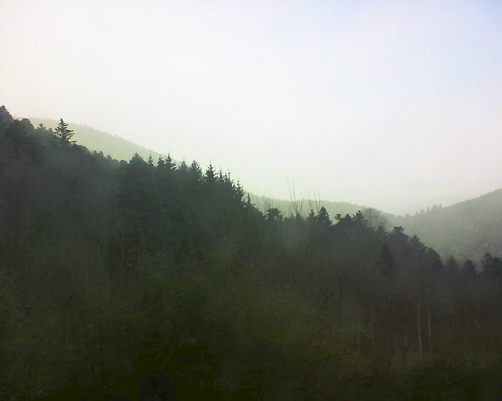 Le petit ballon (Alsace, Vosges) le 26.01.2025 à 08:45