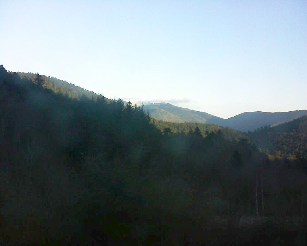 Le petit ballon (Alsace, Vosges) le 01.02.2025 à 08:30