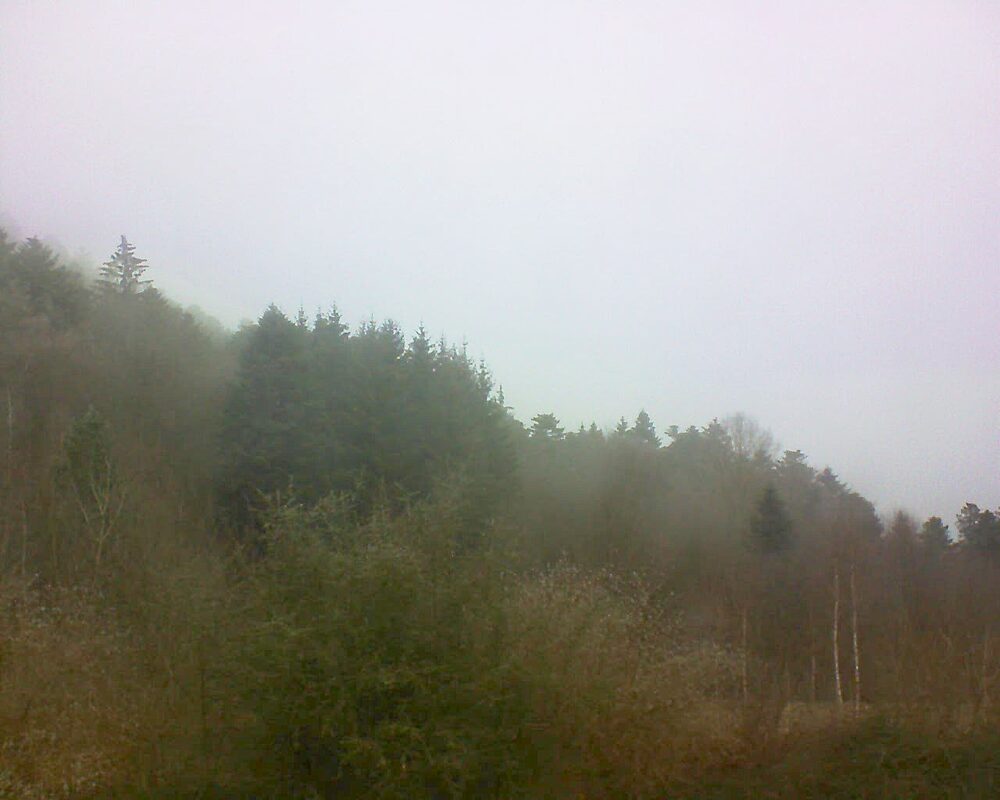 Le petit ballon vu depuis le Domaine Langmatt à Murbach le 03.02.2025 à 10:15 Le petit ballon (Alsace, Vosges) le 03.02.2025 à 10:15