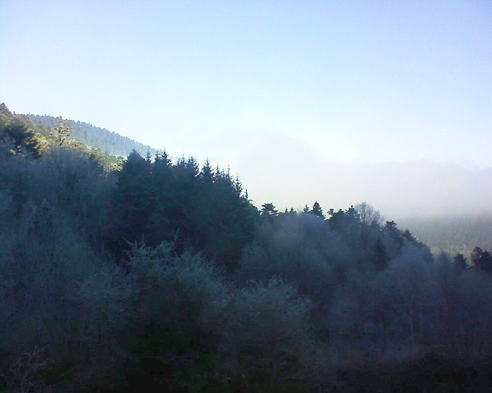 Le petit ballon (Alsace, Vosges) le 04.02.2025 à 10:15