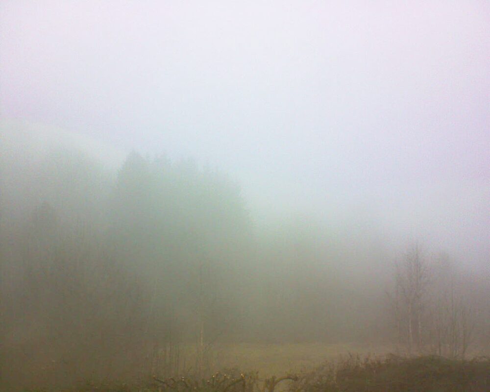 Le petit ballon (Alsace, Vosges) le 06.02.2025 à 10:15