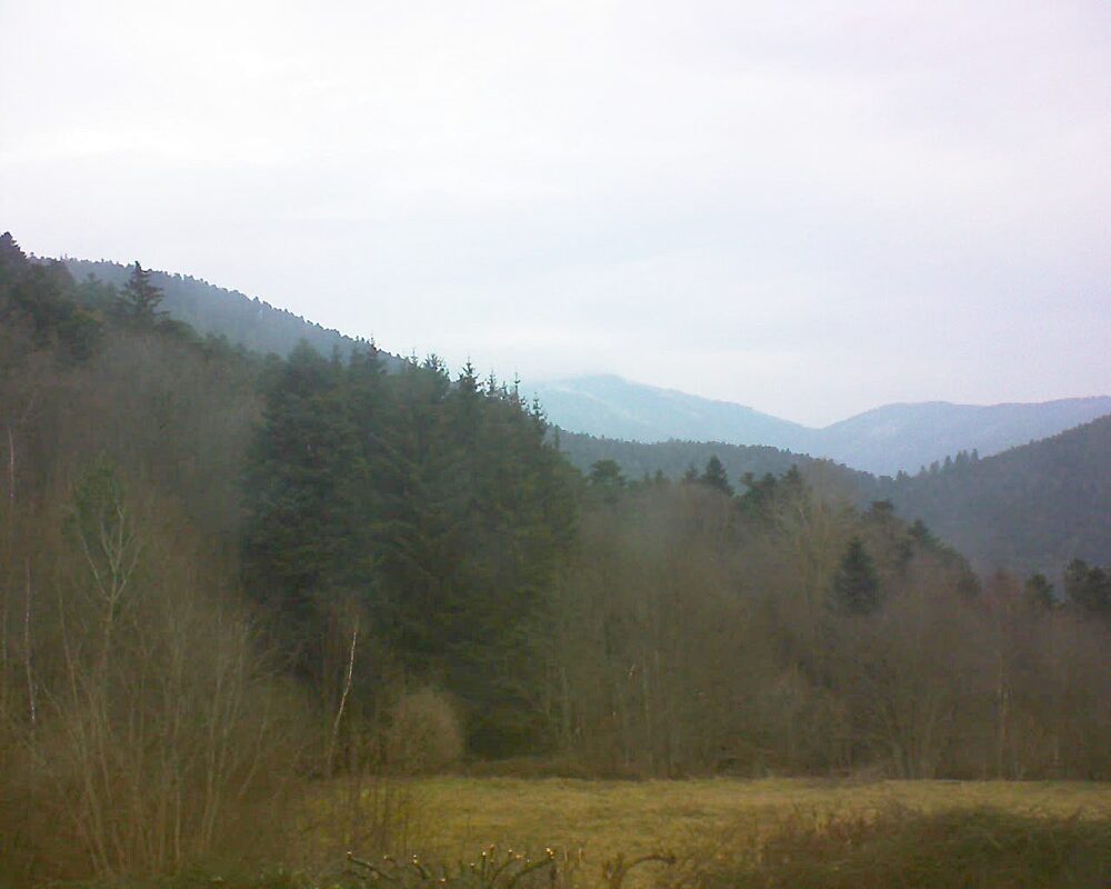 Le petit ballon vu depuis le Domaine Langmatt à Murbach le 07.02.2025 à 09:15 Le petit ballon (Alsace, Vosges) le 07.02.2025 à 09:15